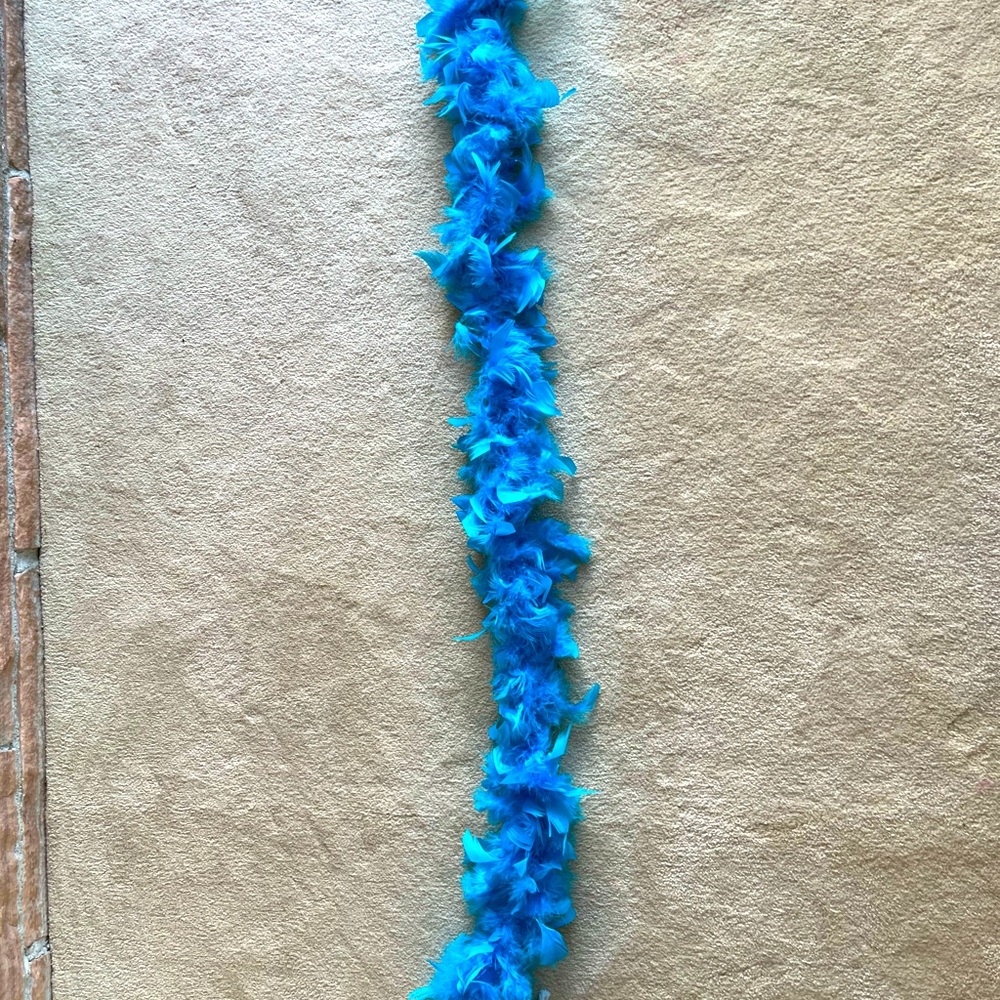Teal Feather Boas